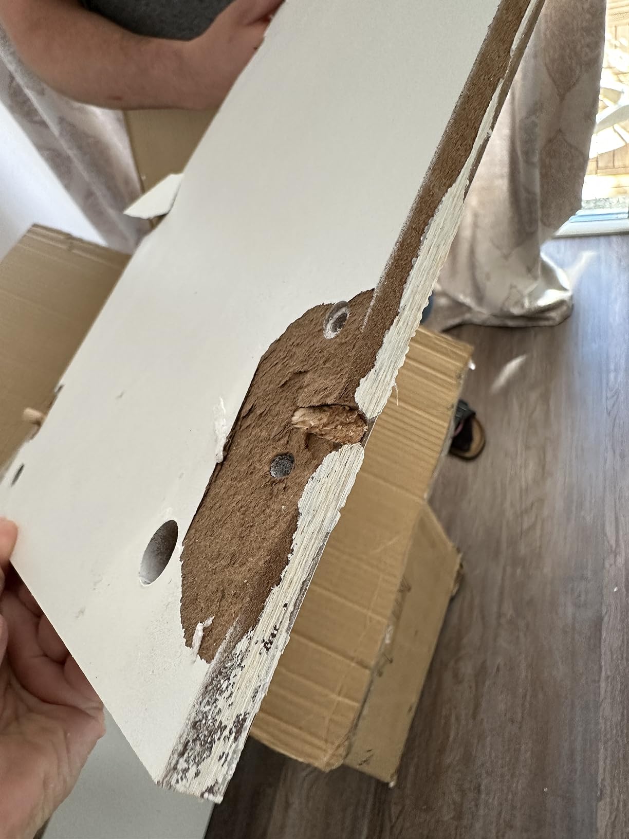 Schön, aber empfindlich