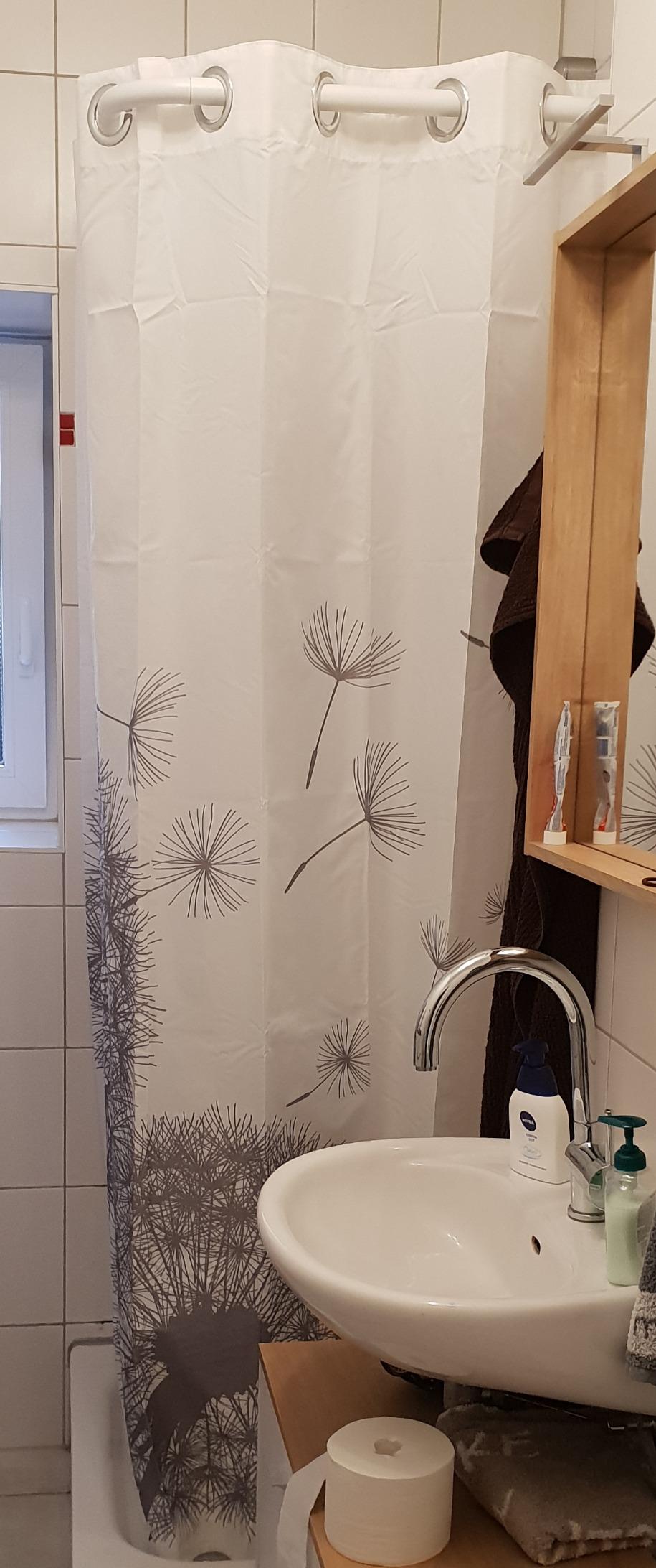 Kein Schimmel mehr