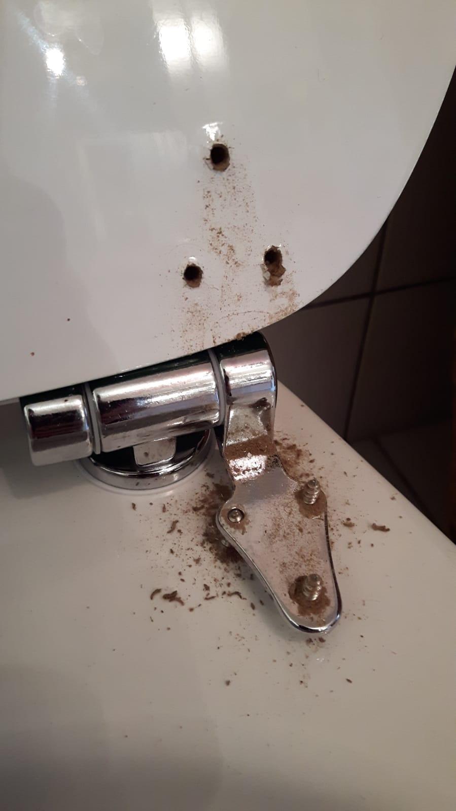 Hingucker im Gästeklo