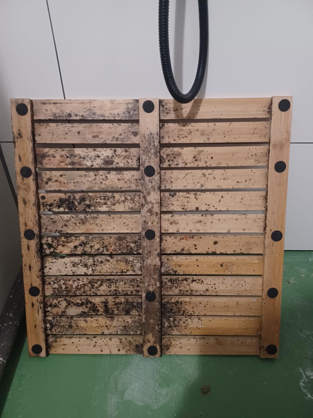 Schön, aber pflegeintensiv