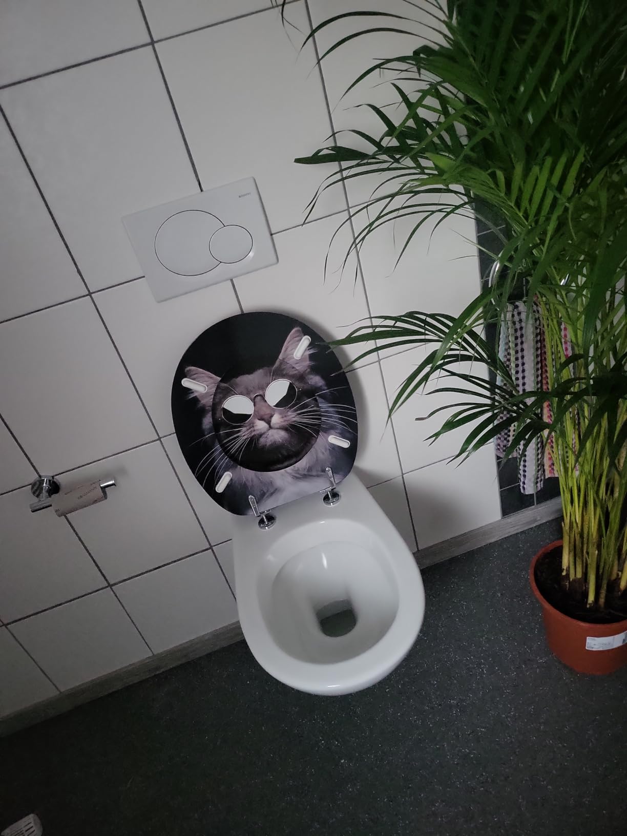 Kratzempfindlich
