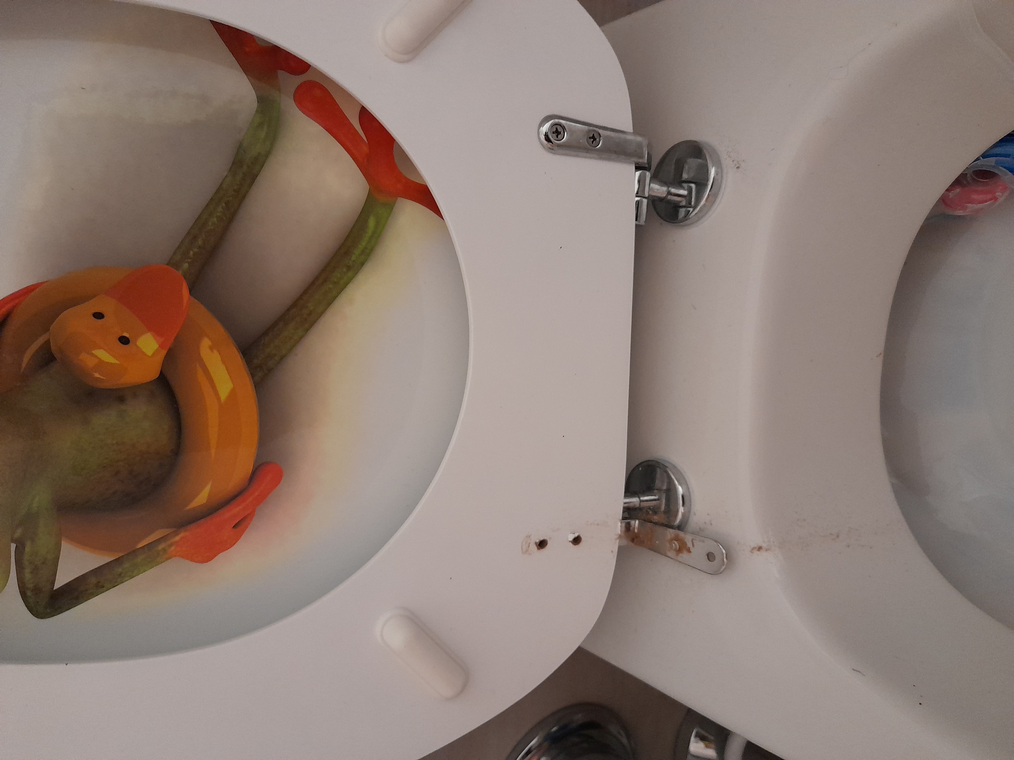 Unsere Enkel lieben den Frosch