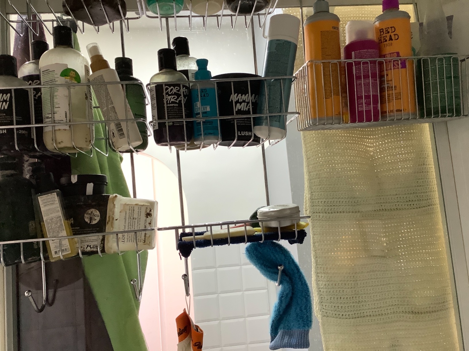 Endlich Ordnung in der Dusche