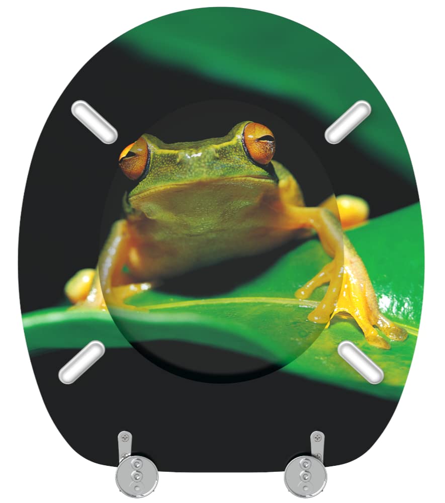 sanilo-wc-sitz-frosch-gr-n-aus-holz-ohne-absenkautomatik-universal image 6