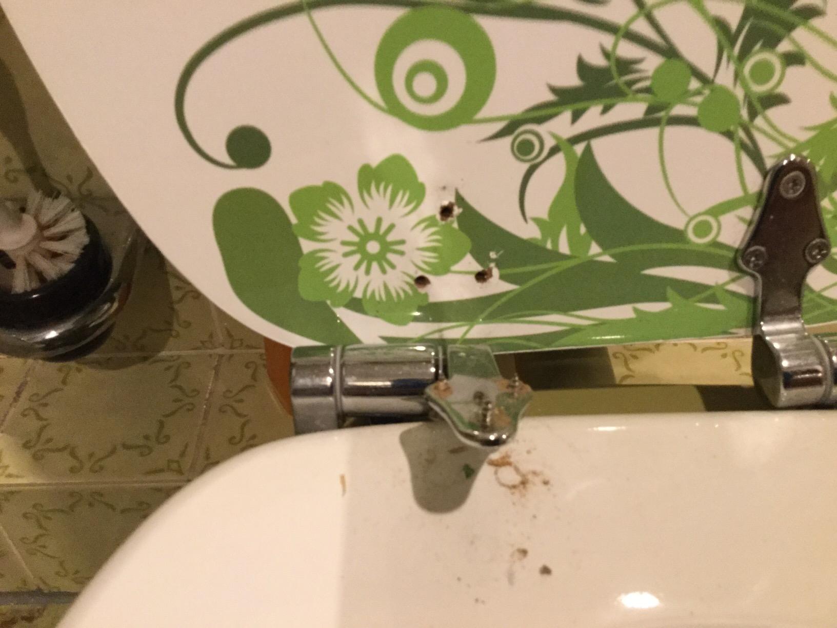 Passt perfekt aufs Hänge-WC