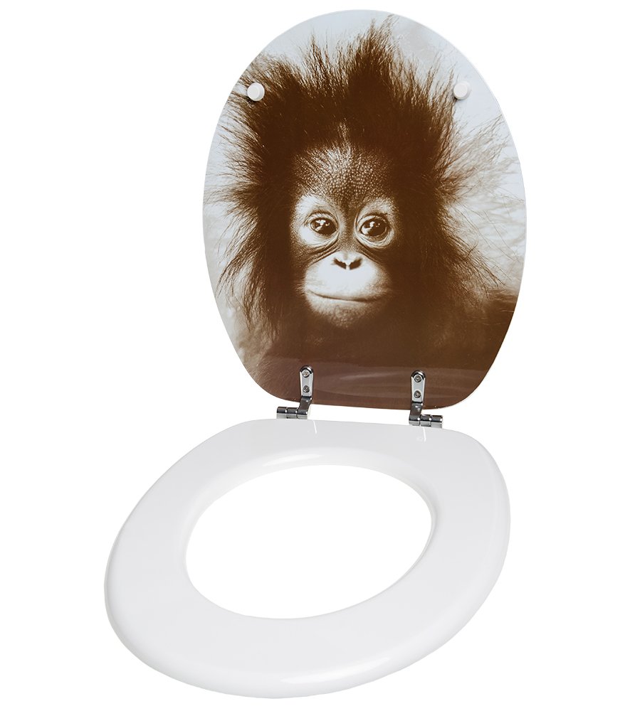sanilo-wc-sitz-alfred-ohne-absenkautomatik-holz-universell image 4