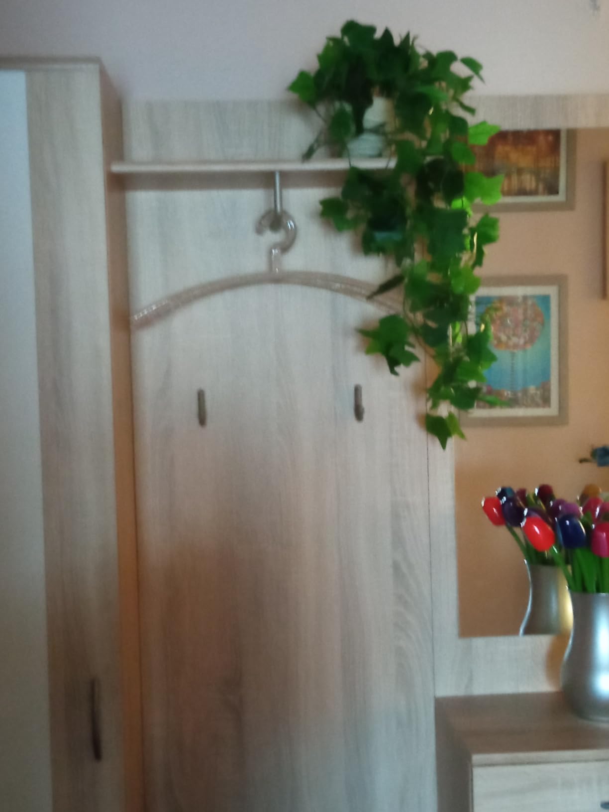 Endlich Ordnung im Schrank